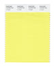 Pantone SMART Color Swatch 12-0740 TCX Limelight