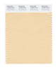 Pantone SMART Color Swatch 12-0813 TCX Autumn Blonde