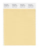 Pantone SMART Color Swatch 12-0822 TCX Golden Fleece