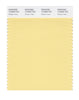 Pantone SMART Color Swatch 12-0826 TCX Golden Haze