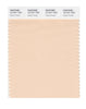 Pantone SMART Color Swatch 12-1011 TCX Peach Pur_e