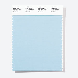 Pantone Polyester Swatch Card 12-4207 TSX Quietude