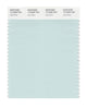 Pantone SMART Color Swatch 12-5406 TCX Opal Blue