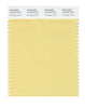 Pantone SMART Color Swatch 12-0718 TCX Pineapple Slice
