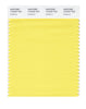 Pantone SMART Color Swatch 12-0737 TCX Goldfinch