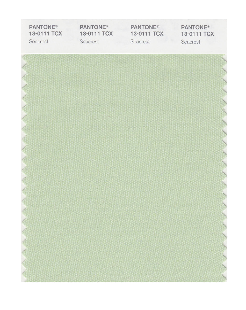 Pantone SMART Color Swatch Card 13-0111 TCX Seacrest - Columbia Omni Studio