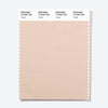 Pantone Polyester Swatch Card 13-0402 TSX Tortilla