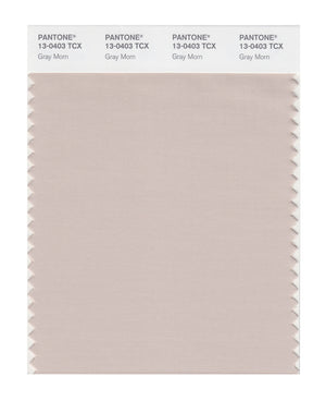 Pantone SMART Color Swatch 13-0403 TCX Gray Morn