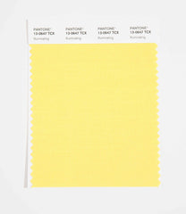 Pantone SMART Color Swatch Card 13-0647 TCX Illuminating