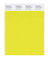 PANTONE SMART Color Swatch Card 40セット Pantone SMART Color Swatch Card 13-0648 TCX Green Sheen - Columbia