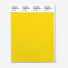 Pantone Polyester Swatch Card 13-0663 TSX Sun Glare