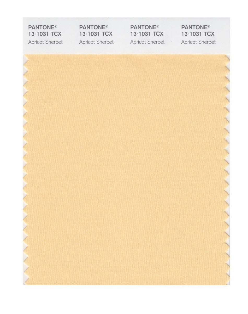 pantone
色見本
solid matte
solid uncoated
匿 PANTONE® USA | PANTONE® 13-0720 TCX - Find a Pantone Color