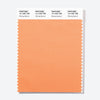 Pantone Polyester Swatch Card 13-1325 TSX Alluring Apricot