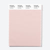 Pantone Polyester Swatch Card 13-1805 TSX Pink Gecko