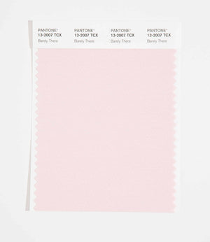Pantone SMART Color Swatch 13-2007 TCX Barely There