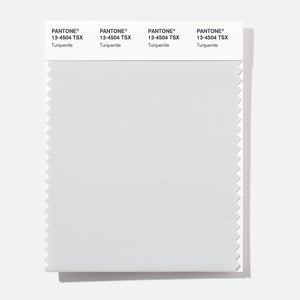 Pantone Polyester Swatch Card 13-4504 TSX Turquenite