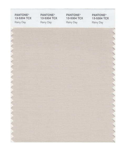 Pantone SMART Color Swatch Card 13-5304 TCX Rainy Day - Columbia Omni ...