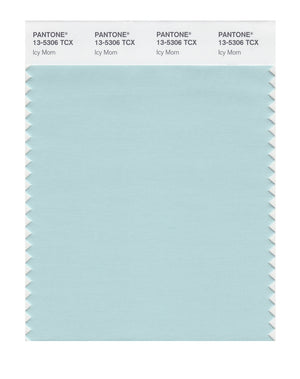 Pantone SMART Color Swatch 13-5306 TCX Icy Morn
