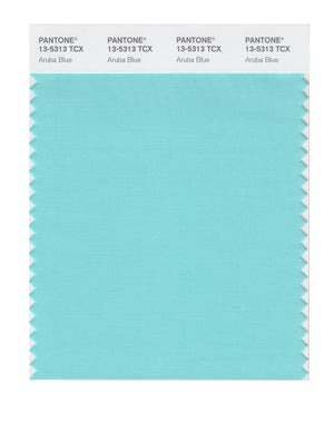 Pantone SMART Color Swatch 13-5313 TCX Aruba Blue