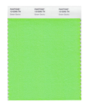 Pantone Nylon Brights Color Swatch 13-0340 TN Green Gecko