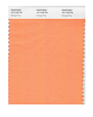 Pantone Nylon Brights Color Swatch 13-1145 TN Orange Pop