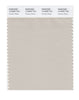 Pantone SMART Color Swatch 14-0002 TCX Pumice Stone