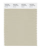 Pantone SMART Color Swatch 14-0105 TCX Overcast