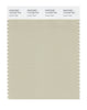 Pantone SMART Color Swatch 14-0108 TCX Castle Wall