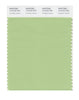 Pantone SMART Color Swatch 14-0123 TCX Arcadian Green