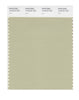 Pantone SMART Color Swatch 14-0216 TCX Lint