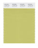 Pantone SMART Color Swatch 14-0434 TCX Green Banana