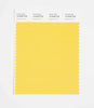 Pantone SMART Color Swatch 14-0750 TCX Passion Fruit