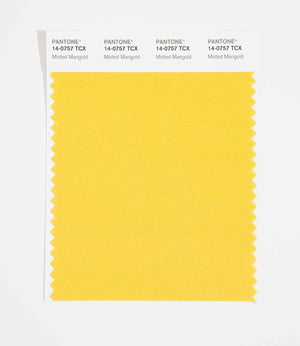 Pantone SMART Color Swatch 14-0757 TCX Misted Marigold