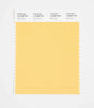 Pantone SMART Color Swatch 14-0849 TCX Beach Ball