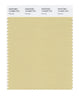 Pantone SMART Color Swatch 14-0925 TCX Parsnip