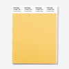 Pantone Polyester Swatch Card 14-0926 TSX Sunflower Seed