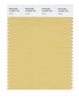 Pantone SMART Color Swatch 14-0935 TCX Jojoba