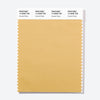Pantone Polyester Swatch Card 14-0938 TSX Ancient Grain