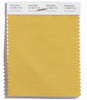 Pantone SMART Color Swatch 14-0952 TCX Spicy Mustard