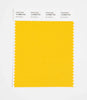 Pantone SMART Color Swatch 14-0958 TCX Bumblebee