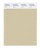 Pantone SMART Color Swatch 14-1014 TCX Gravel