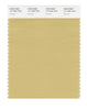 Pantone SMART Color Swatch 14-1025 TCX Cocoon