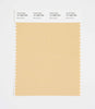 Pantone SMART Color Swatch 14-1026 TCX Moonstone