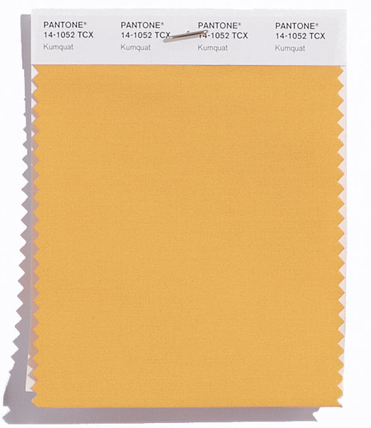 Pantone SMART Color Swatch Card 14-1052 TCX Kumquat - Columbia Omni Studio