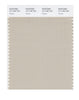 Pantone SMART Color Swatch 14-1106 TCX Peyote