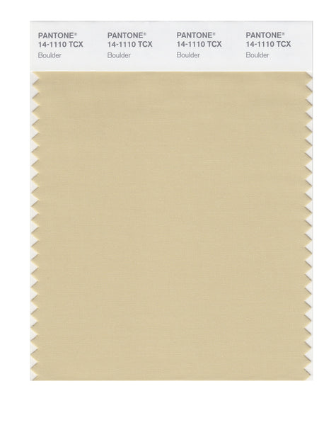 Pantone SMART Color Swatch Card 14-1110 TCX Boulder - Columbia Omni Studio