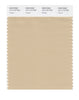 Pantone SMART Color Swatch 14-1112 TCX Pebble