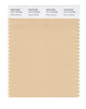 Pantone SMART Color Swatch 14-1119 TCX Winter Wheat