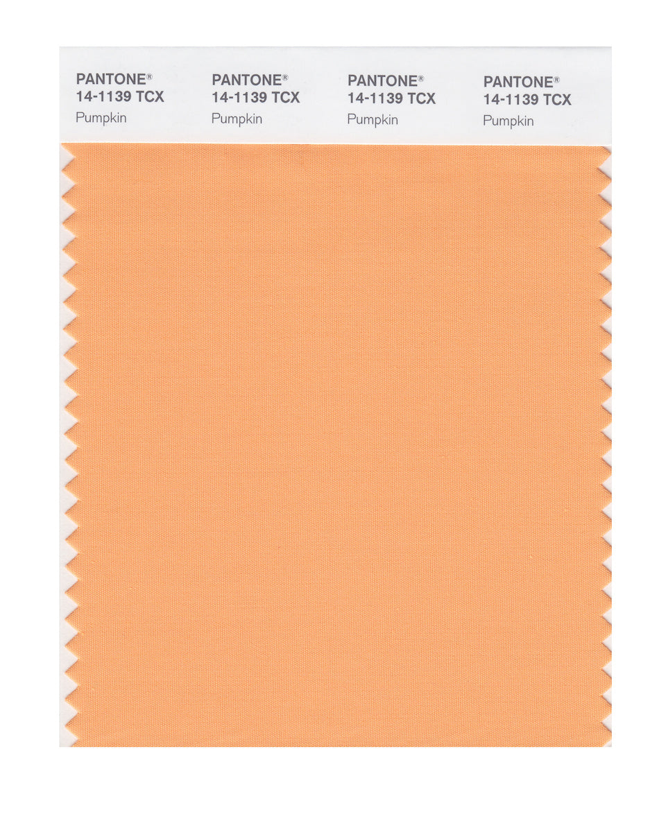 Color 14109 Pantone SMART Color Swatch Card 14-1139 TCX Pumpkin - Columbia Omni Studio