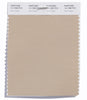 Pantone SMART Color Swatch 14-1208 TCX Irish Cream